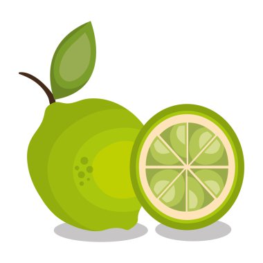 simgesi limon dilimi tasarım