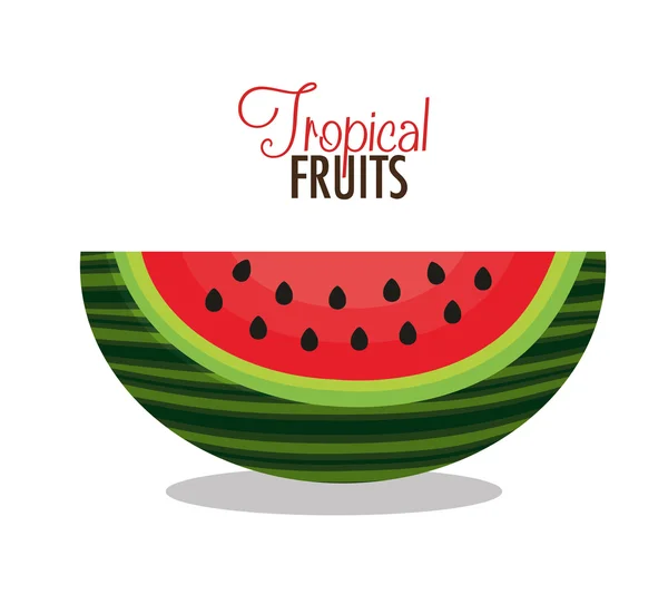 Ikon vattenmelon bit frukt design — Stock vektor