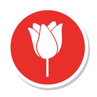 güzel çiçek Çizim izole