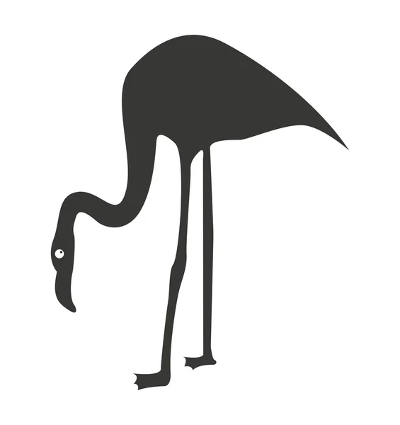 Silueta pták volavka, samostatný — Stockový vektor