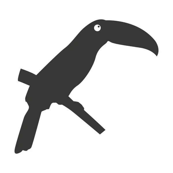 Toucan bird silhouette icon — Stock Vector