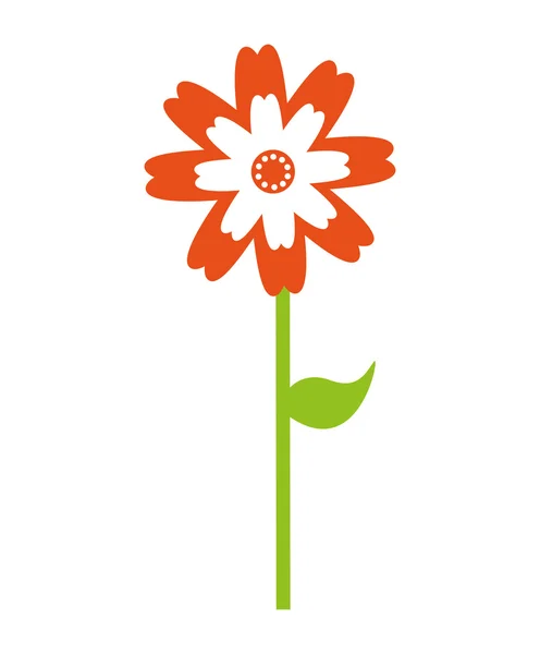 Schöne Blumenzeichnung isoliert — Stockvektor