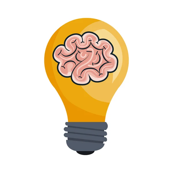 Лампочка з органом мозку — стоковий вектор