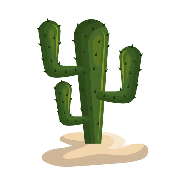 Cactus plante du désert — Image vectorielle