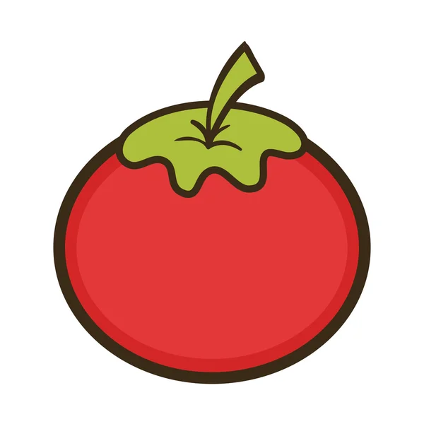 Tomate rojo vegetal — Vector de stock