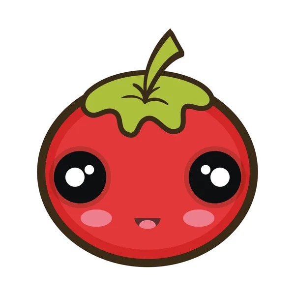 Красный томатный овощ — стоковый вектор