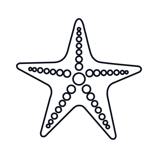 Étoile de mer marine — Image vectorielle