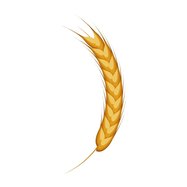 Colheita de cereais de trigo —  Vetores de Stock
