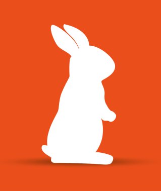 izole karikatür simgesi tavşan tasarım
