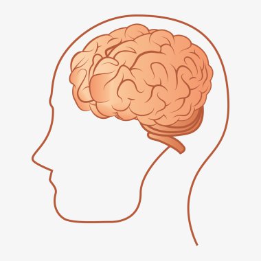 beyin fikir yaratıcı tasarım izole karikatür