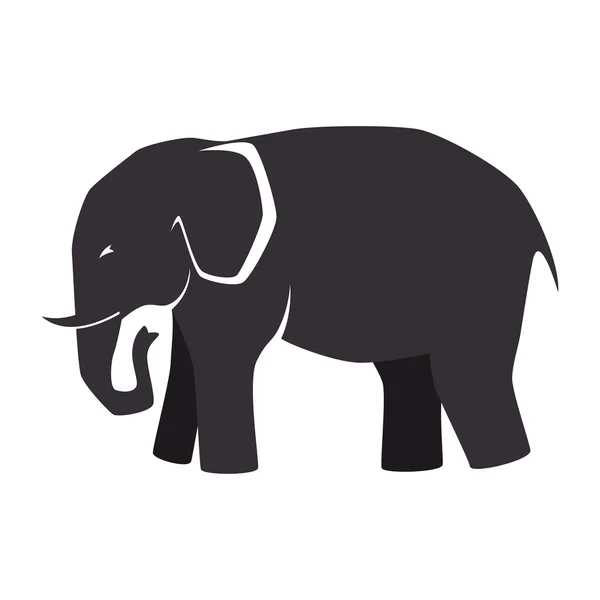 아이콘 코끼리 디자인 절연 — 스톡 벡터