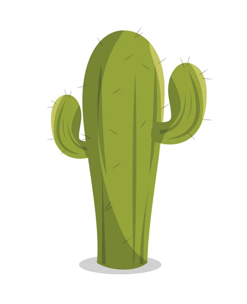 Icono cactus diseño mexicano — Archivo Imágenes Vectoriales