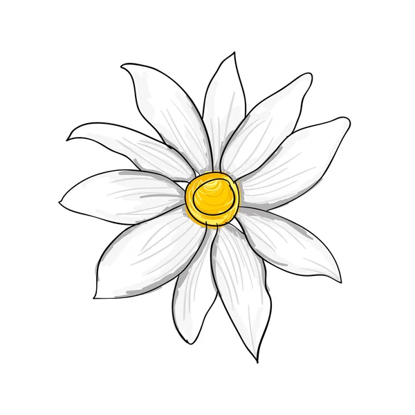 Ikona květinovým vzorem — Stockový vektor