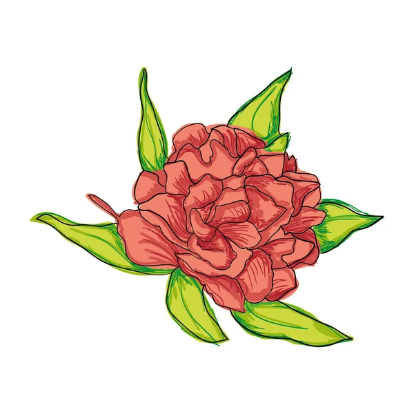 Icono flor diseño — Archivo Imágenes Vectoriales