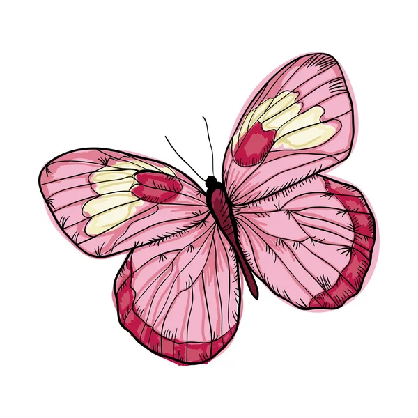 Papillon aux ailes colorées — Image vectorielle