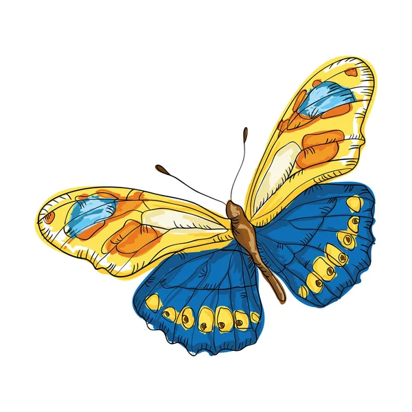 蝴蝶有七彩的翅膀 — 图库矢量图片