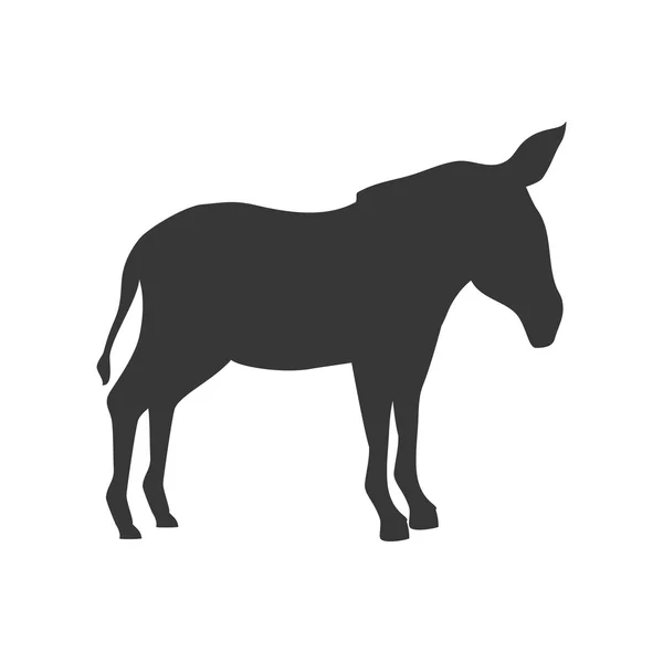 Donkey farm animal — Stock Vector