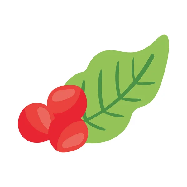 Kávénövény gabona és levelek természet lapos ikon — Stock Vector