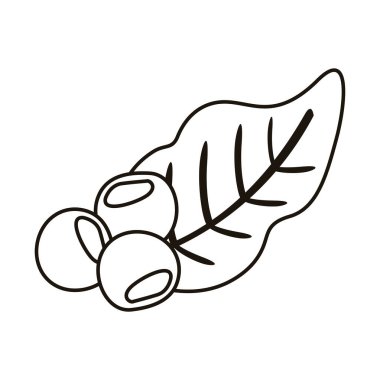 Kahve çekirdeği ve yapraklar doğa çizgisi simgesi