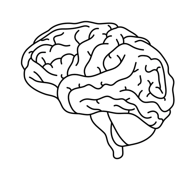 Cerveau humain santé mentale icône des soins — Image vectorielle