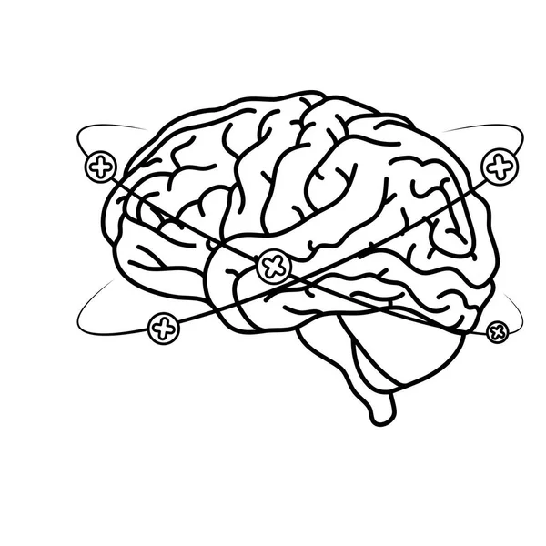 Cerveau humain avec des symboles plus autour des soins de santé mentale — Image vectorielle