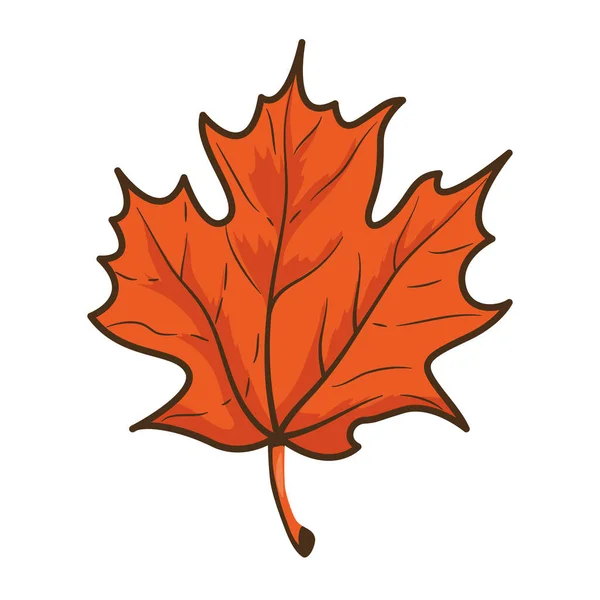 Herfst esdoorn blad natuur icoon — Stockvector