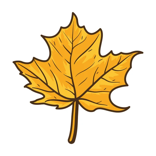 Feuille d'érable d'automne icône nature — Image vectorielle