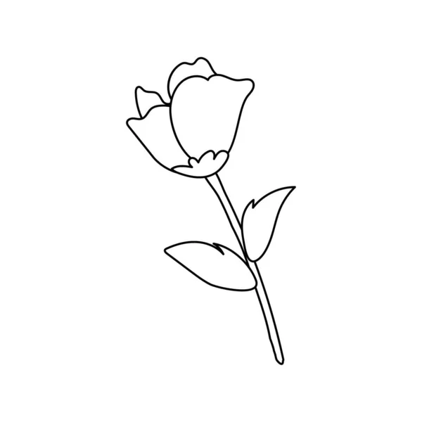 Rosa flor jardín naturaleza icono — Vector de stock