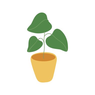 Seramik çömlekte izole edilmiş ikon bitkisi