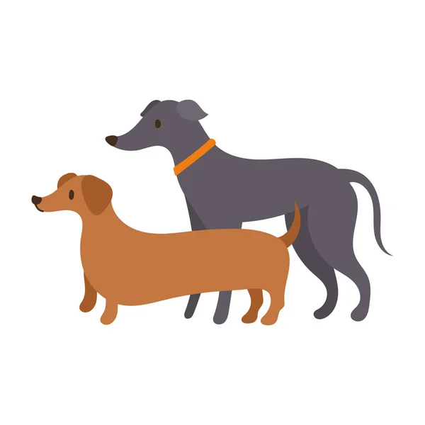 Schattige honden huisdieren mascottes pictogram — Stockvector