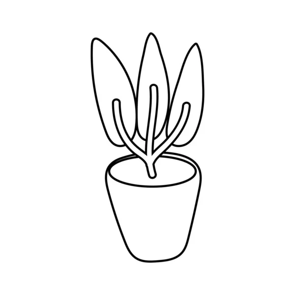 Houseplant in ceramic pot isolated icon — Stock Vector