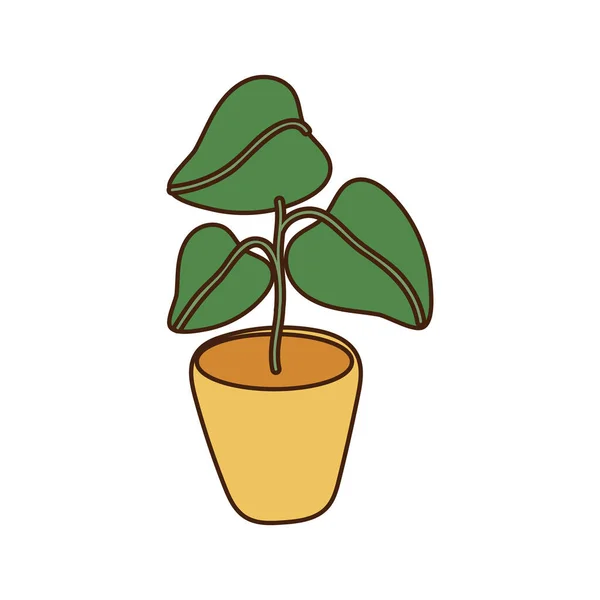 Houseplant in ceramic pot isolated icon — Stock Vector