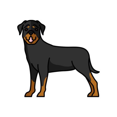 Rottweiler köpeği evcil hayvan maskotu.