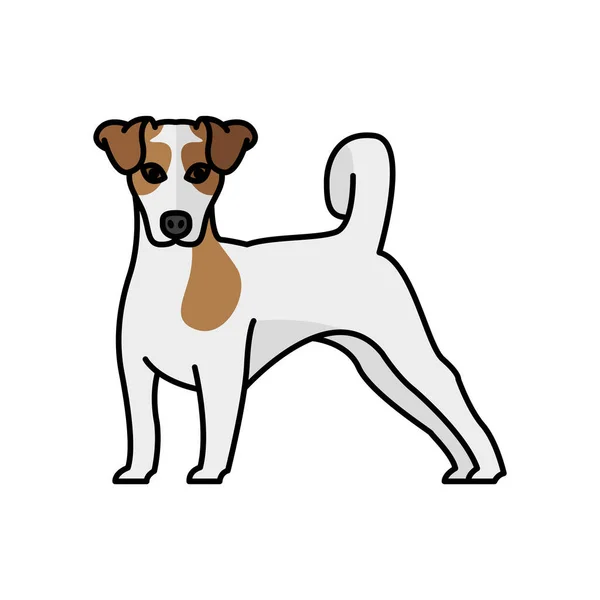 Danish farmdog pet mascot breed character — Stock Vector