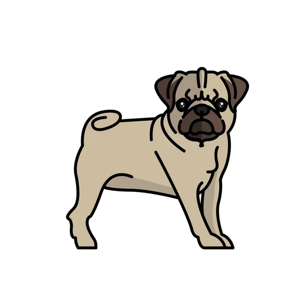 Carlino cane animale domestico mascotte razza personaggio — Vettoriale Stock