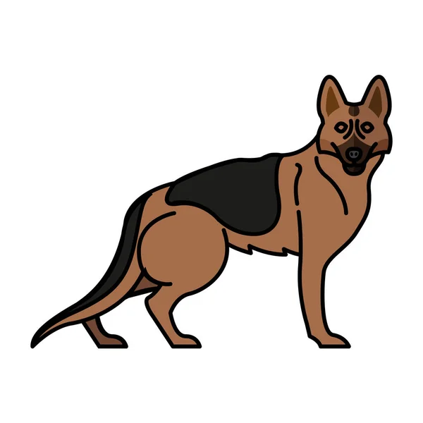 Deutscher Schäferhund Haustier Maskottchen Rasse Charakter — Stockvektor