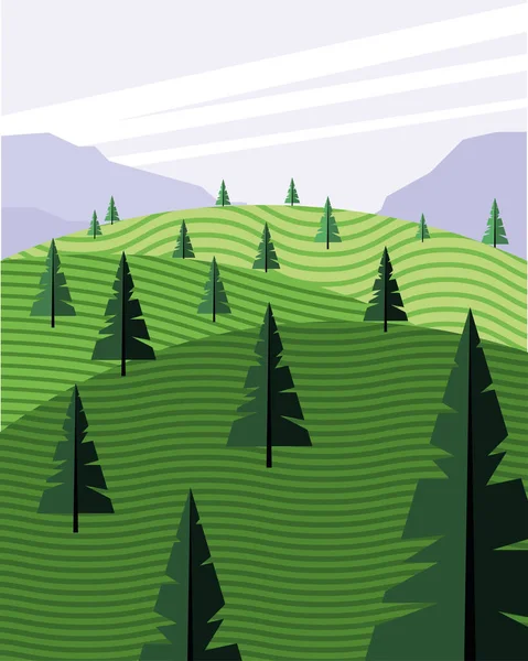 Hermosa escena de paisaje con campo de bosque de coníferas — Vector de stock