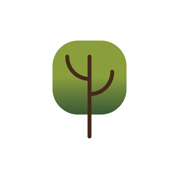 Árvore verde planta floresta ícone isolado — Vetor de Stock