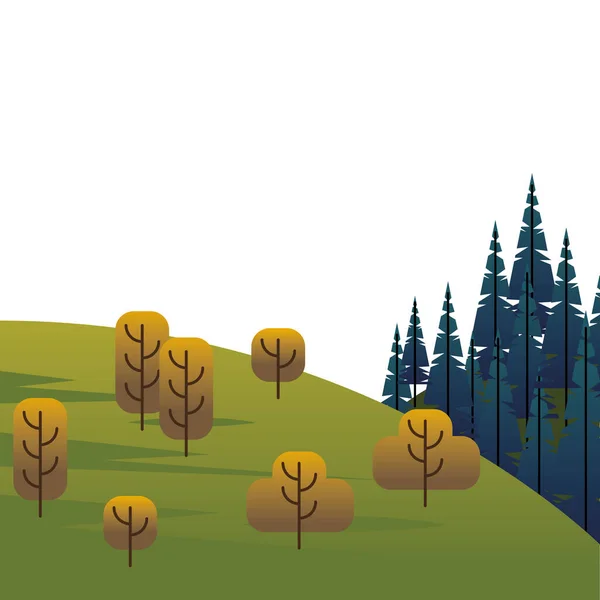 Bosques de árboles y pinos en la escena de campo — Vector de stock