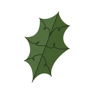 Mutlu noel yaprakları bitkisi