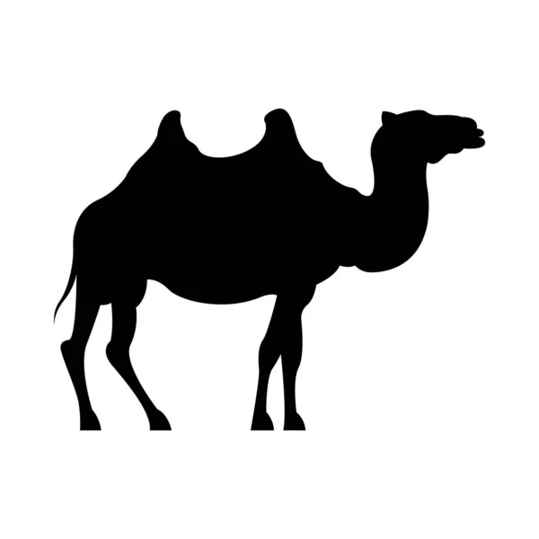 Silhouette animale dromadaire icône isolée — Image vectorielle