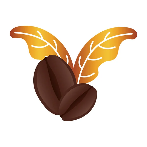 Graines et feuilles de café plante — Image vectorielle