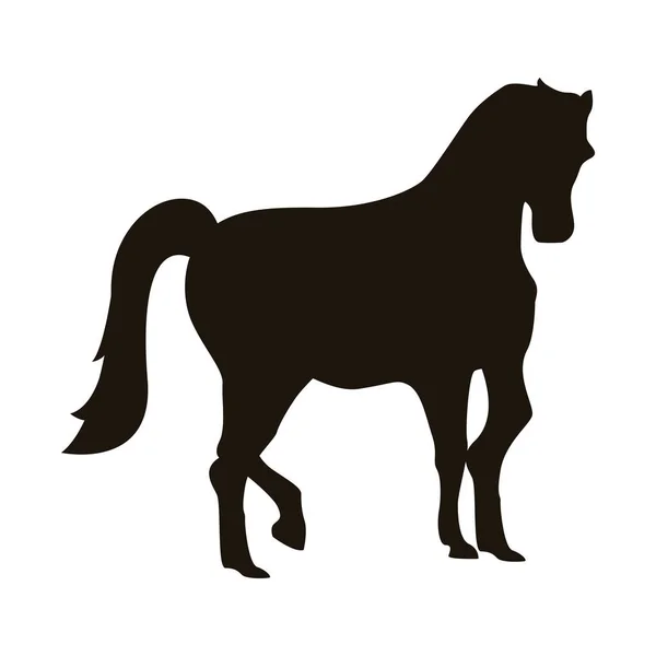 Silueta animal caballo figura icono — Vector de stock