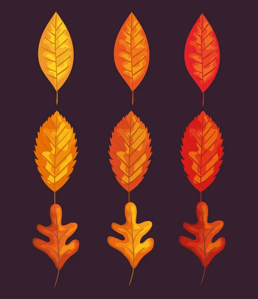 Otoño hojas conjunto vector diseño — Vector de stock