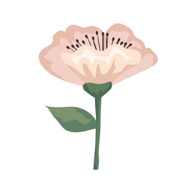 Yapraklı beyaz çiçek vektör tasarımı