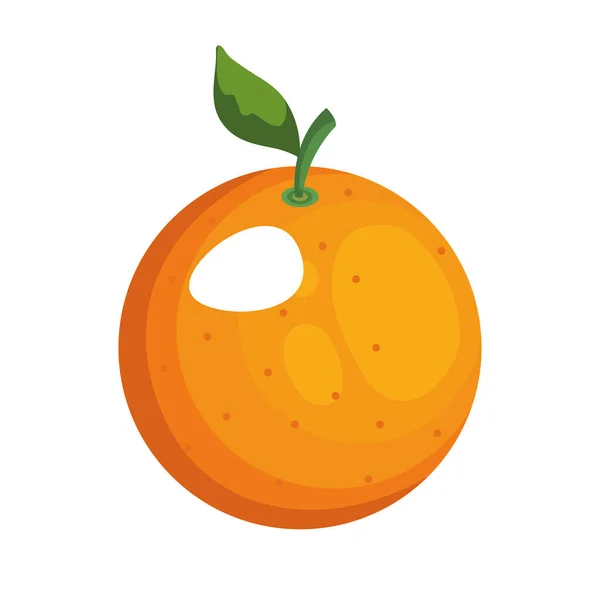 Oranje fruit pictogram vector ontwerp — Stockvector