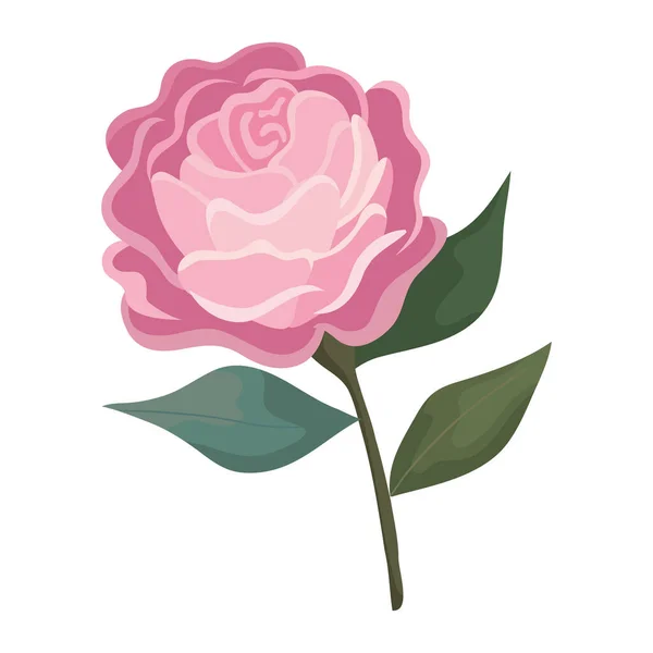 Rose fleur rose avec feuilles peinture vectoriel design — Image vectorielle