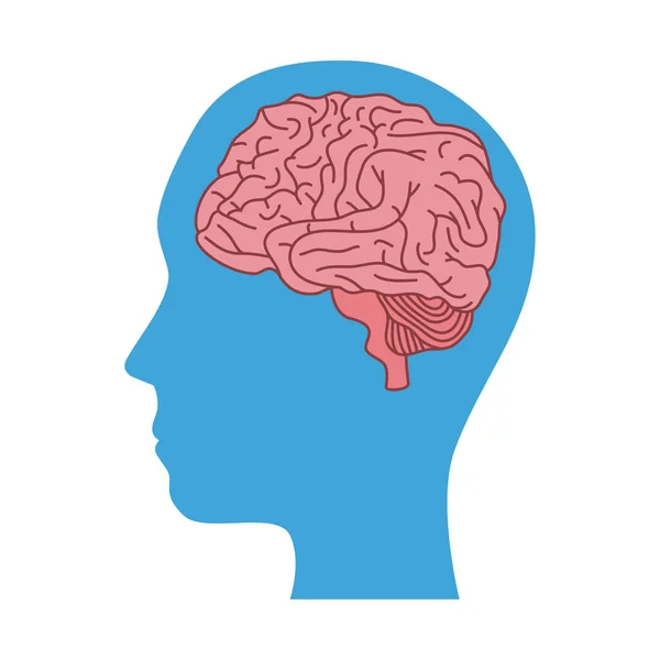 Perfil de salud mental humano con órgano cerebral — Vector de stock