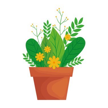 seramik çömlek ikonunda ev bitkisi