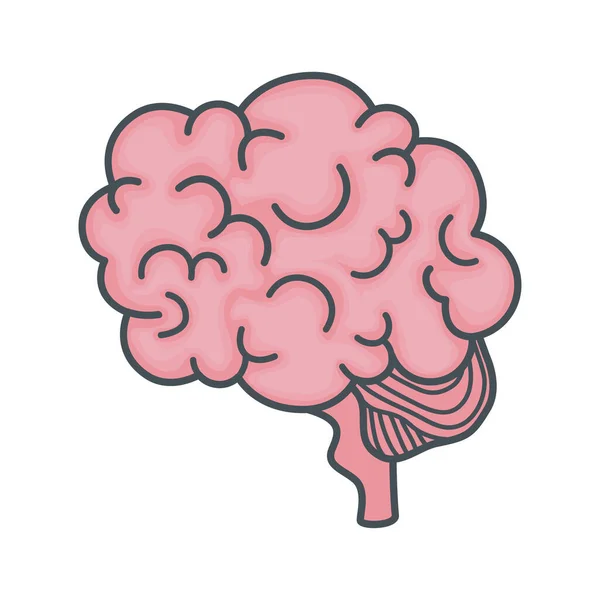 Mental health brain organ icon — Stock Vector